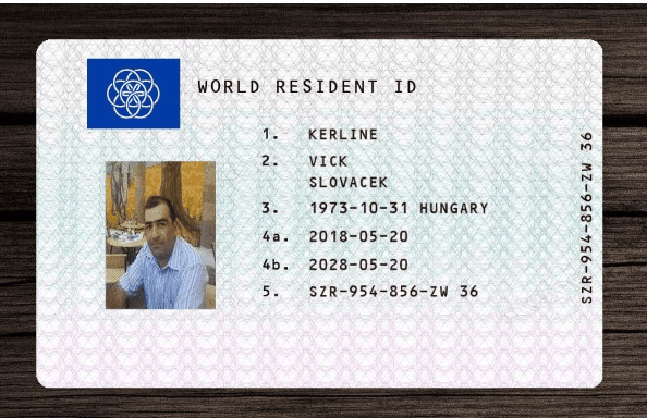 Fake document example by Diasp