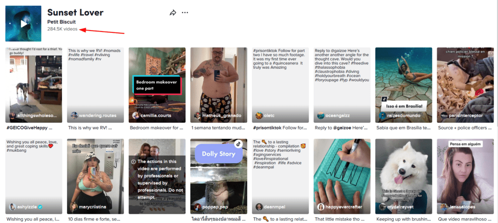 someone's tiktok page