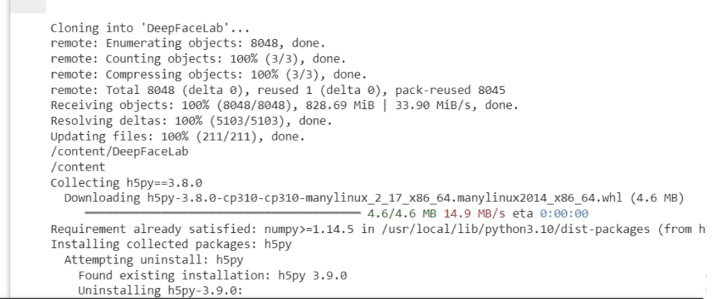 installation process screenshot