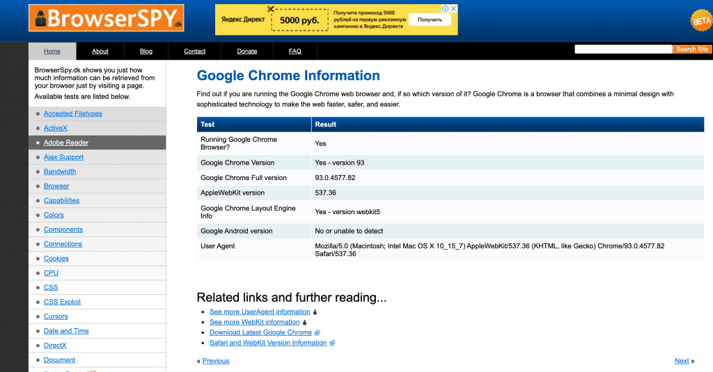 browserspy homepage screenshot