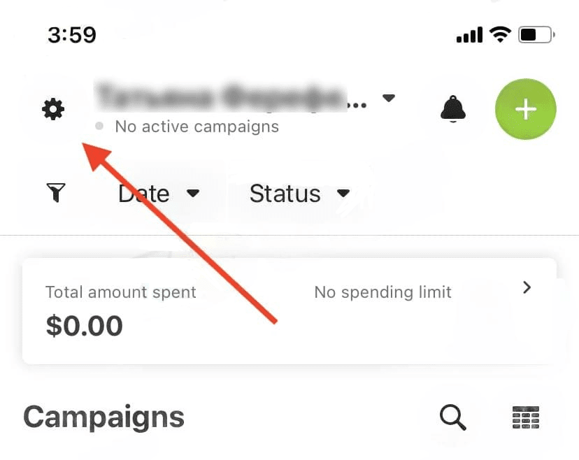 settings section in Meta Ads Manager iOS App