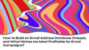 How to Build an Email Address Database Cheaply and What Niches are Most Profitable for Email Campaigns_ 1
