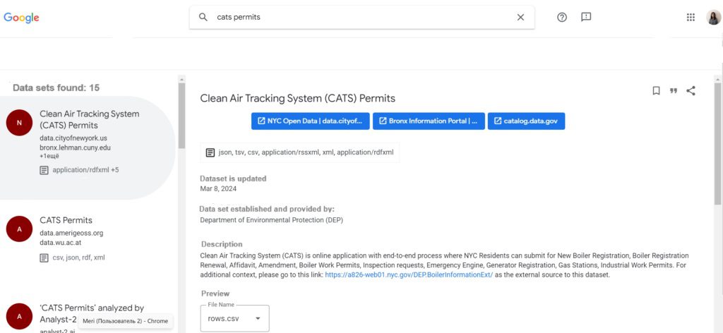 Example of a query on Google Dataset Search