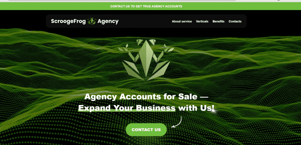 scroogefrog homepage