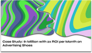 Case Study $1 Million with 2x ROI a Month Advertising Shoes