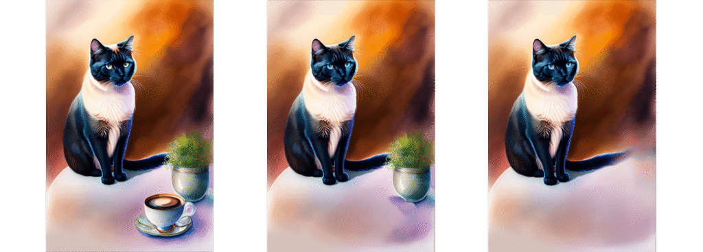 a cat