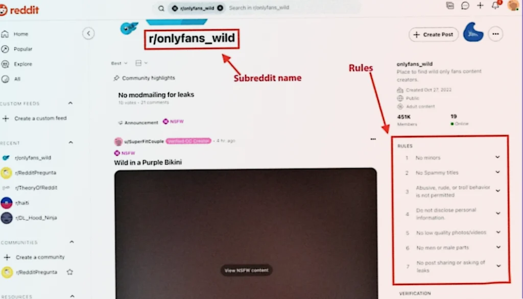 reddit's subreddit and the rules section