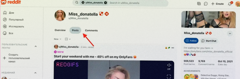 a screenshot of a reddit model