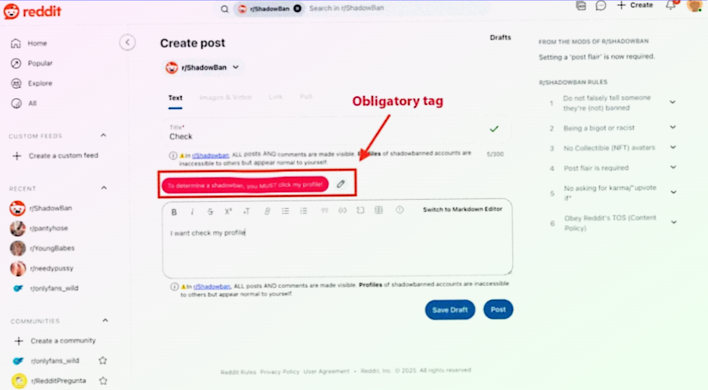 creation of a post to detect if a shadowban took place