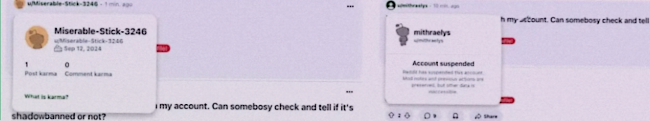 results of checking for shadowban