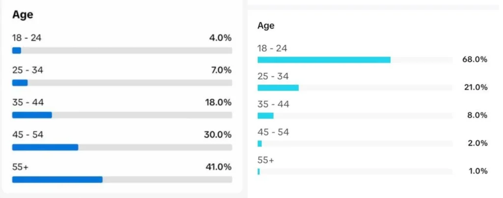 audience segmentation in terms of age