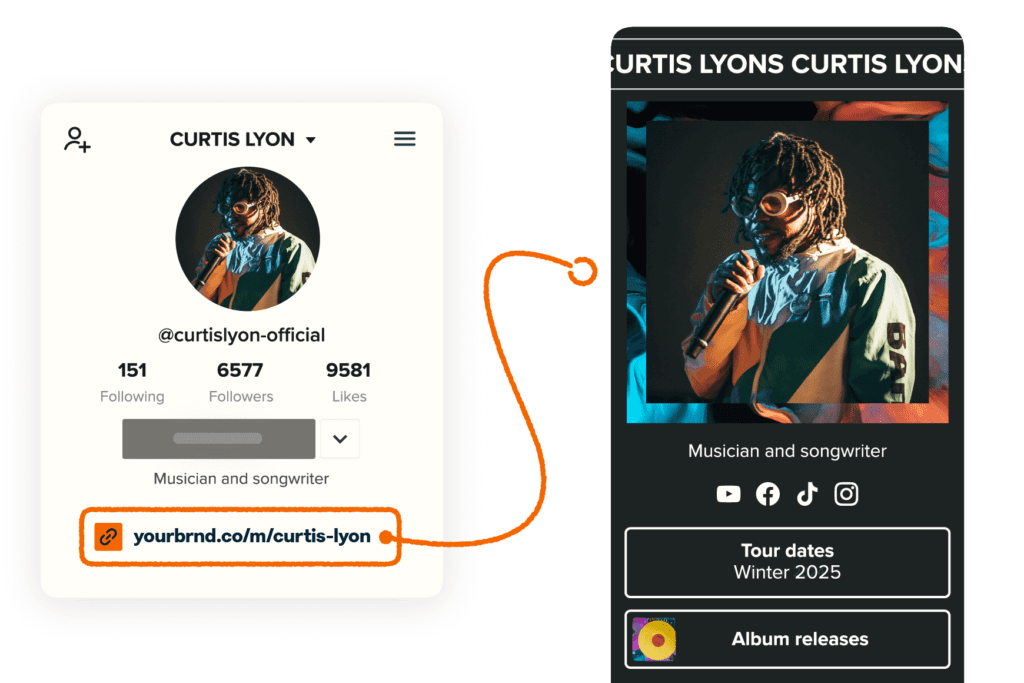 a mini-landing page in a link-in-bio format